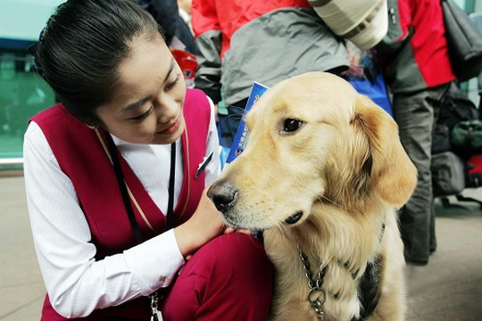 寵物航空托運須知